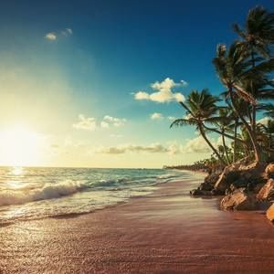 Meet your Posher, Lysse